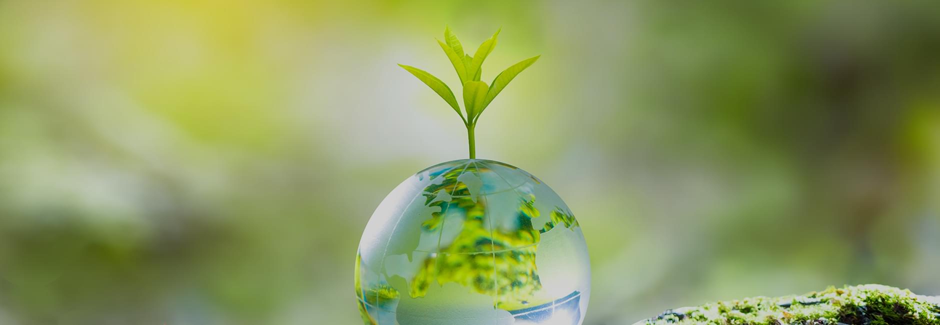 人と自然を大切に